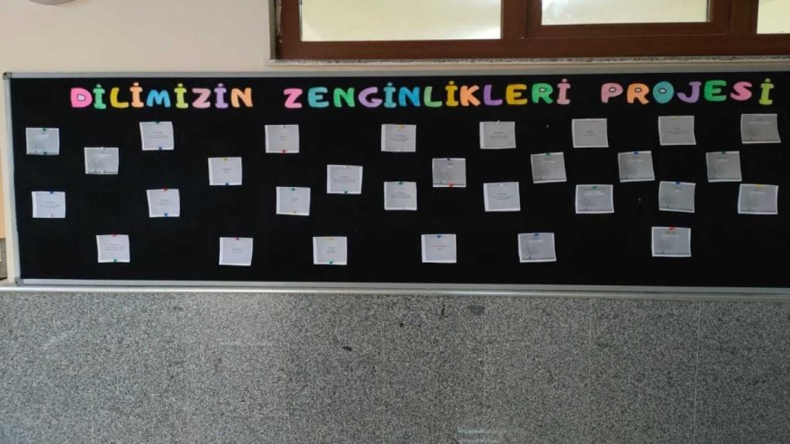 Dilimizin Zenginlikleri