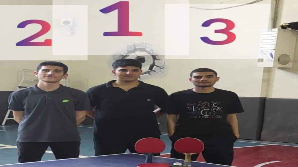Masa Tenisi Turnuvası